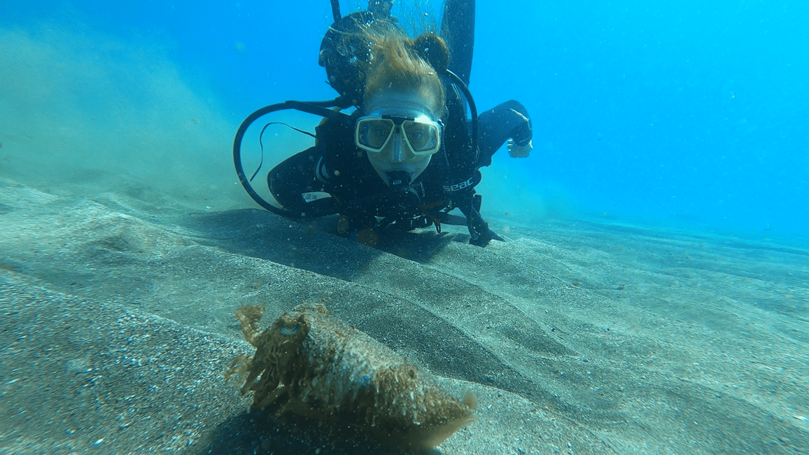 image n.4 of Tenerife: Scuba Diving Lesson and Abades Protected Area Dive activity in Arico, uploaded by supplier