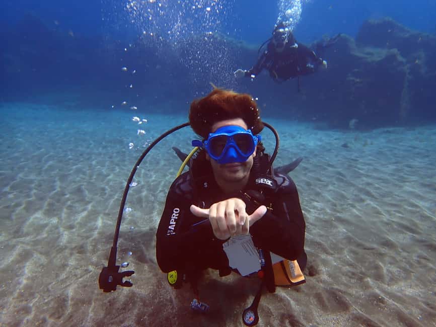 image n.5 of Tenerife: Scuba Diving Lesson and Abades Protected Area Dive activity in Arico, uploaded by supplier