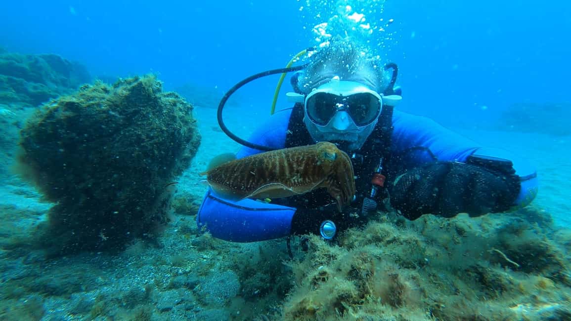 image n.8 of Tenerife: Scuba Diving Lesson and Abades Protected Area Dive activity in Arico, uploaded by supplier
