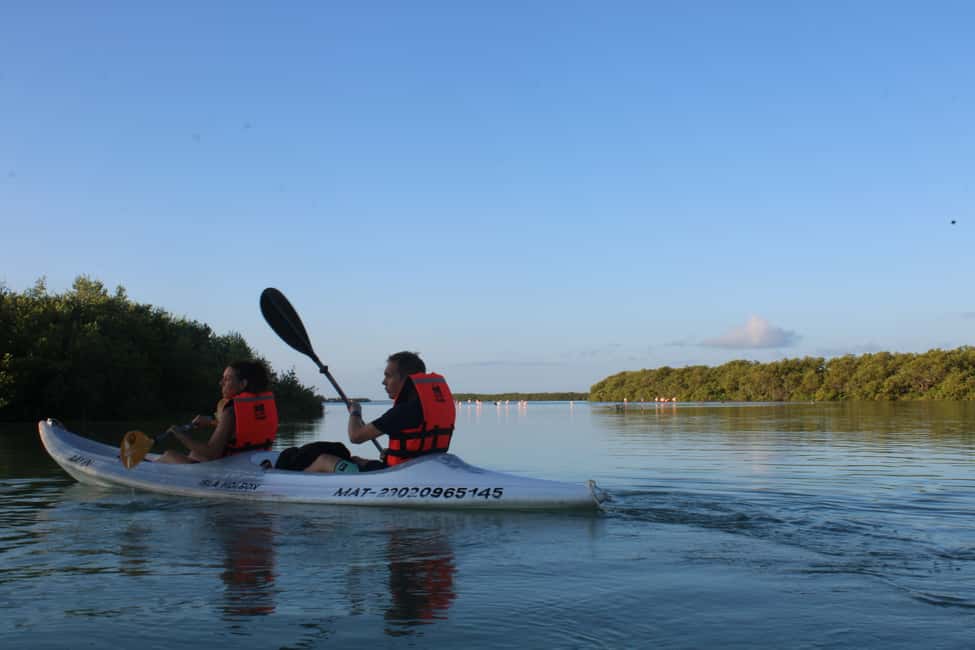 Image N°3 de Holbox : Visite guidée en kayak au lever/coucher du soleil dans la réserve de mangroves activité à Holbox, publiée par le prestataire