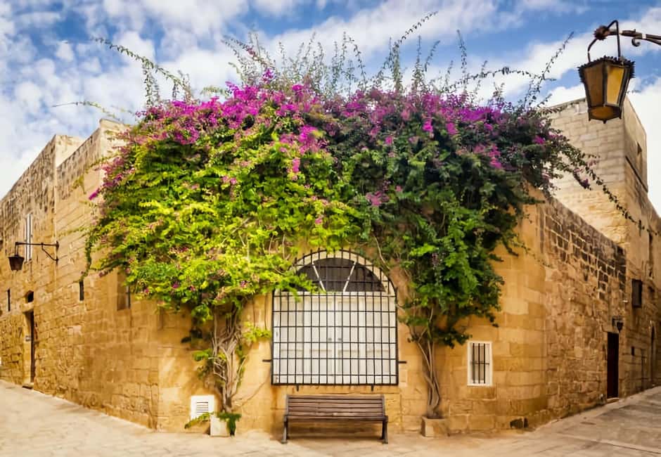 image n.9 of Malta: Mdina, Dingli Cliffs and San Anton Botanical Gardens activity in Valletta, uploaded by supplier