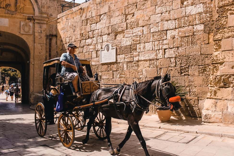 image n.8 of Malta: Mdina, Dingli Cliffs and San Anton Botanical Gardens activity in Valletta, uploaded by supplier