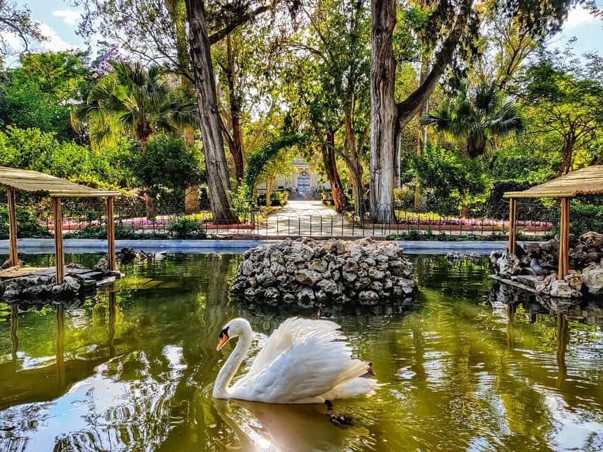 image n.4 of Malta: Mdina, Dingli Cliffs and San Anton Botanical Gardens activity in Valletta, uploaded by supplier