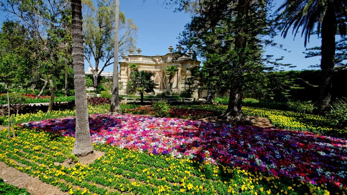 image n.15 of Malta: Mdina, Dingli Cliffs and San Anton Botanical Gardens activity in Valletta, uploaded by supplier