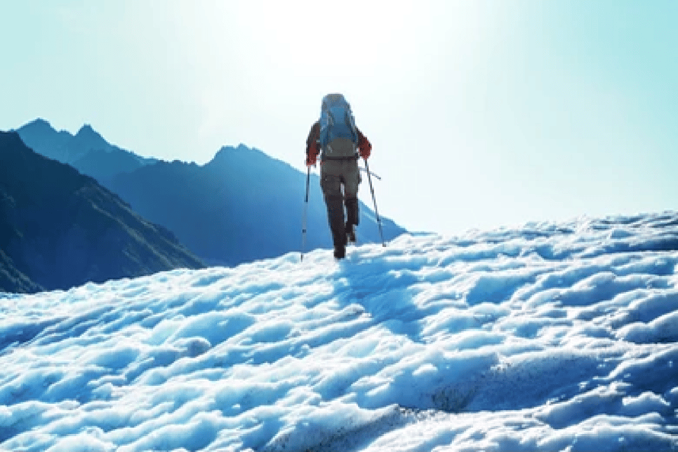 image n.30 of Anchorage: Kenai Fjords & Denali National Park 5 Day Tour activity in Anchorage, uploaded by supplier