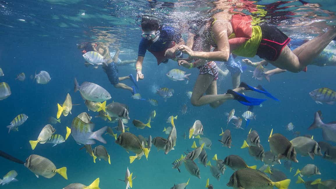 image n.9 of From La Paz: Swim with Sea Lions & Espíritu Santo Boat Tour activity in Baja California Sur, uploaded by supplier