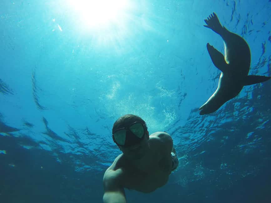 image n.2 of From La Paz: Swim with Sea Lions & Espíritu Santo Boat Tour activity in Baja California Sur, uploaded by supplier