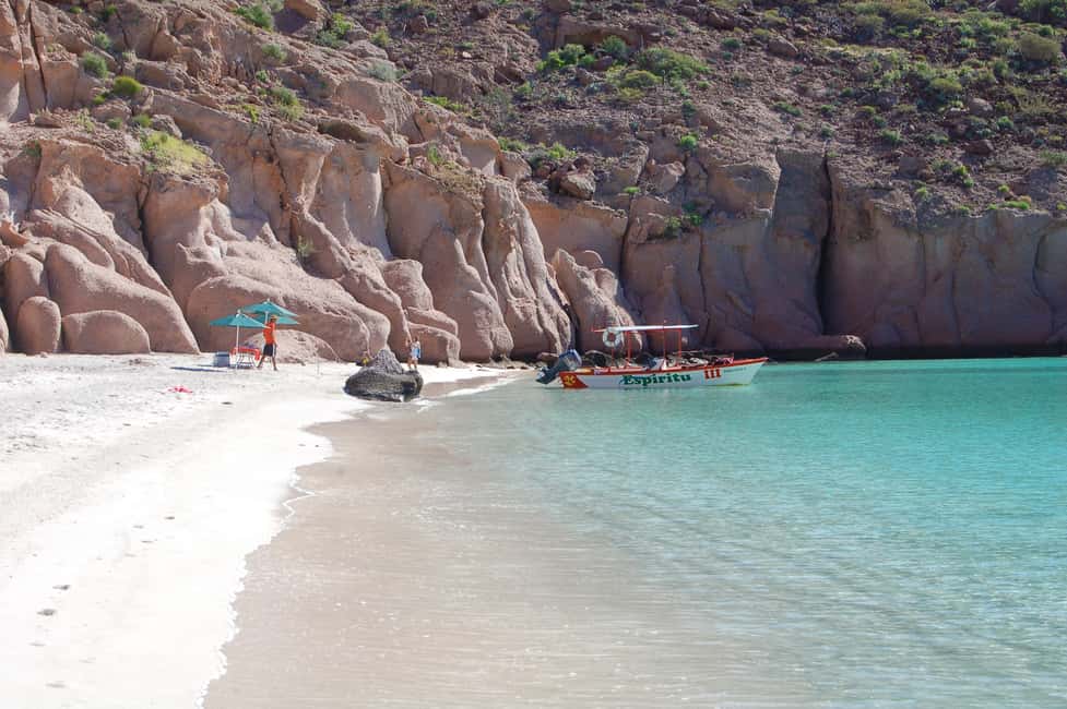 image n.10 of From La Paz: Swim with Sea Lions & Espíritu Santo Boat Tour activity in Baja California Sur, uploaded by supplier