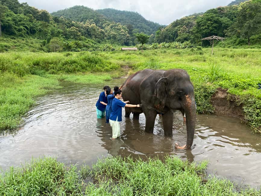 image n.10 of Chiang Mai: Small Group Ethical Elephant Sanctuary Tour activity in Chiang Mai, uploaded by supplier
