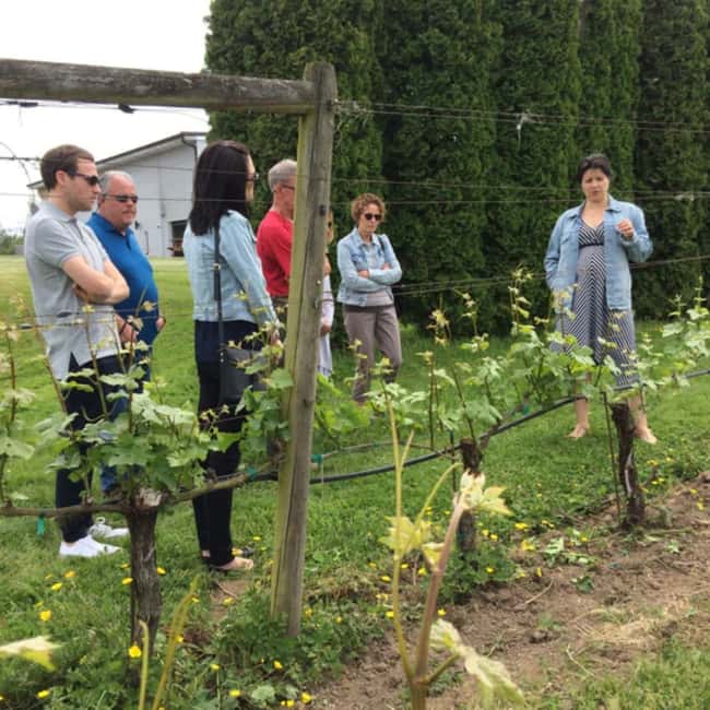 image n.6 of From Vancouver: Fraser Valley Wine Tour with Local Tastings activity in Vancouver, uploaded by supplier