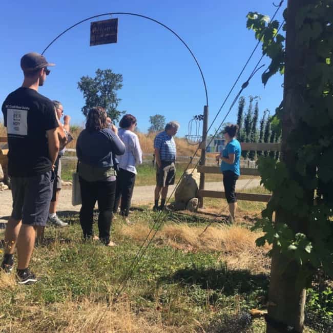 image n.8 of From Vancouver: Fraser Valley Wine Tour with Local Tastings activity in Vancouver, uploaded by supplier
