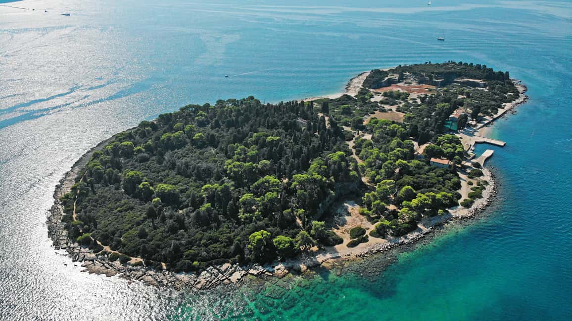 Bild Nr. 10 von Fažana: Kreuzfahrt zu den Brijuni-Inseln mit Halt auf der Pfaueninsel Aktivität in Pula, Kroatien, hochgeladen vom Anbieter