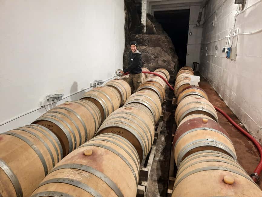 image n.8 of Chianti Colli Fiorentini Winery Tour 18km from Florence activity in Florence, uploaded by supplier