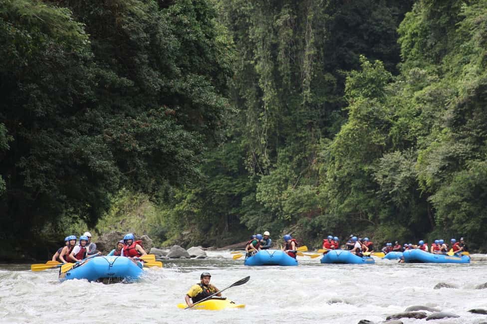 bild nr.4 av Från San José: Pacuare River White Water Rafting dagstur aktivitet i Limón (provins), uppladdad av arrangören