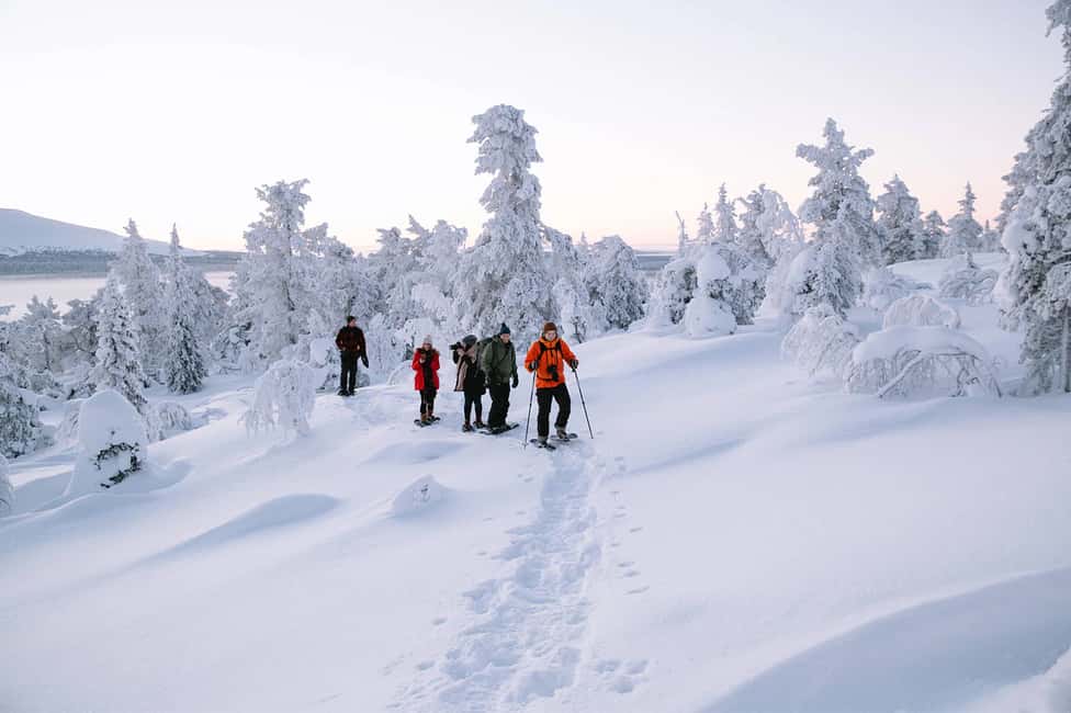 image n.5 of Rovaniemi: Hiking and Snowshoeing Adventure in Lapland activity in Rovaniemi, uploaded by supplier
