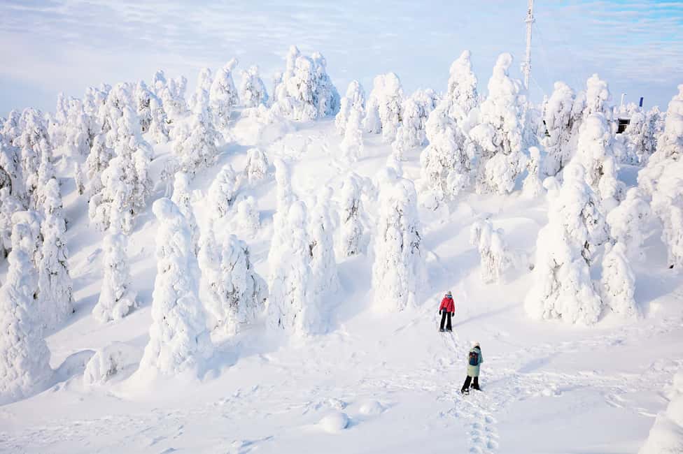 image n.6 of Rovaniemi: Hiking and Snowshoeing Adventure in Lapland activity in Rovaniemi, uploaded by supplier