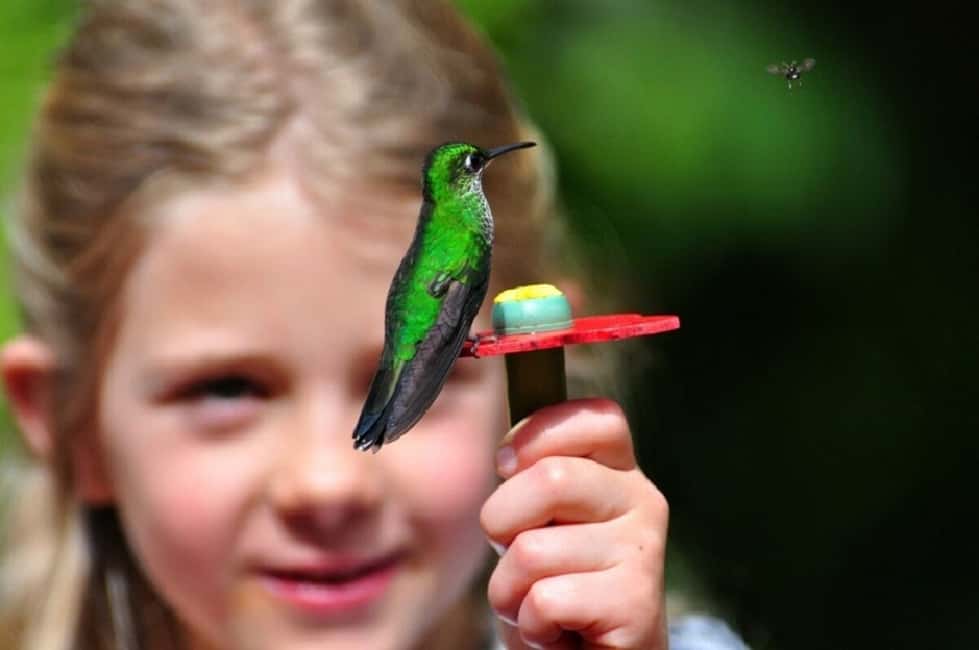 image n.5 of From San Jose: La Paz Waterfall Garden & Rainforest Tour activity in Alajuela Province, uploaded by supplier