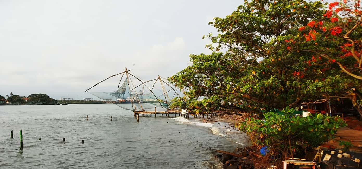 image n.4 of Highlights of Cochin: Group Tour from Cochin Port activity in Kochi, uploaded by supplier