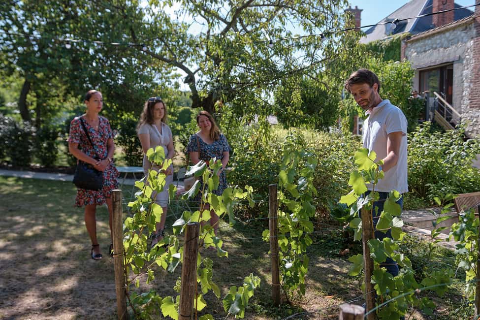 Bild Nr. 3 von Champagner: Champagner-Verkostungskurs mit Mittagessen Aktivität in Aÿ-Champagne, hochgeladen vom Anbieter