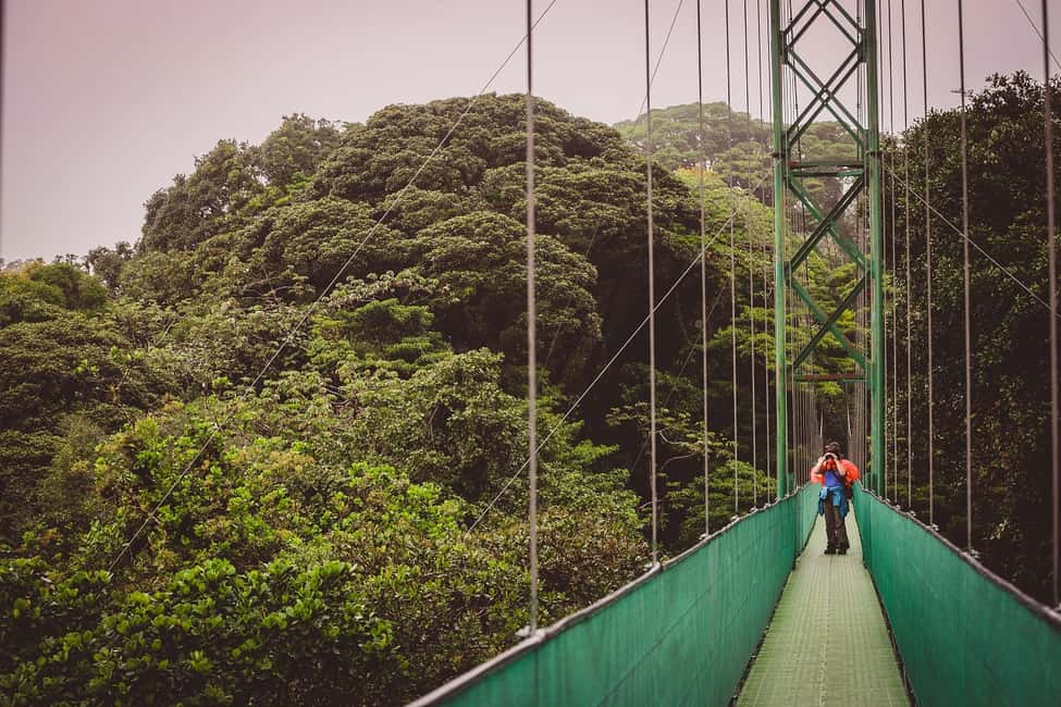 image n.7 of Monteverde: Sky Walk, Sky Tram & Sky Trek Ziplining Tour activity in Bagaces, uploaded by supplier