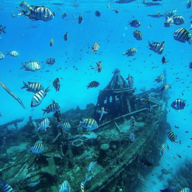 image n.14 of Barbados: Catamaran Tour with Snorkeling and Lunch activity in Christ Church, Barbados, uploaded by supplier