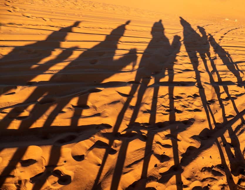image n.3 of Agadir/Taghazout/Port: Sahara Desert 4x4 Day Trip with Lunch activity in Souss-Massa, uploaded by supplier