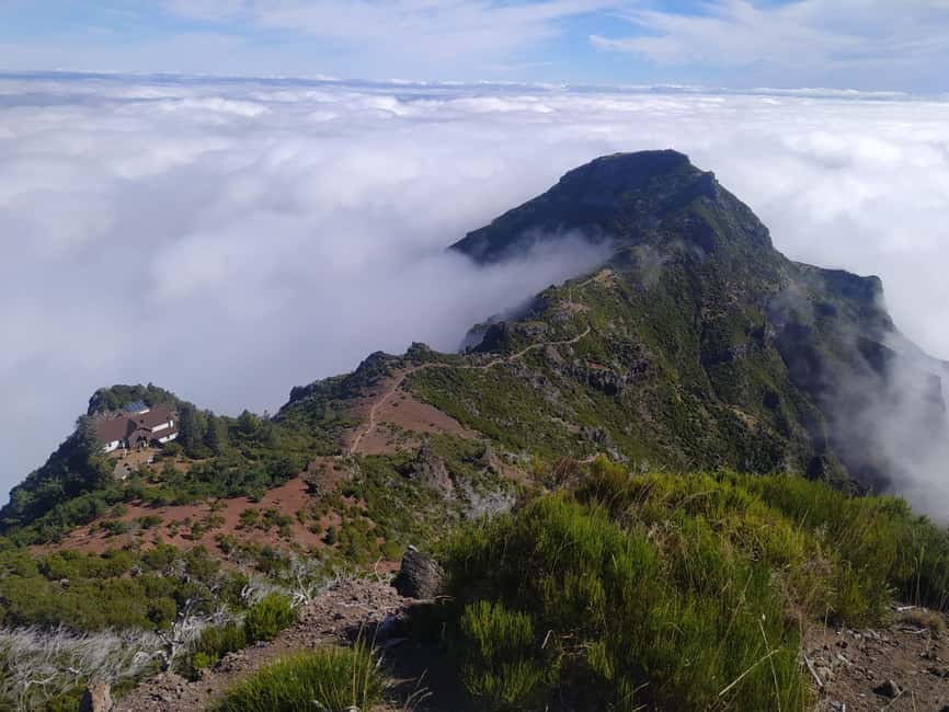 bild nr.6 av Från Funchal: Transfer till Pico do Arieiro Trail aktivitet i Madeira, uppladdad av arrangören