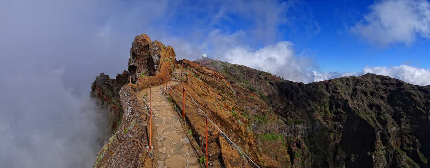 bild nr.8 av Från Funchal: Transfer till Pico do Arieiro Trail aktivitet i Madeira, uppladdad av arrangören