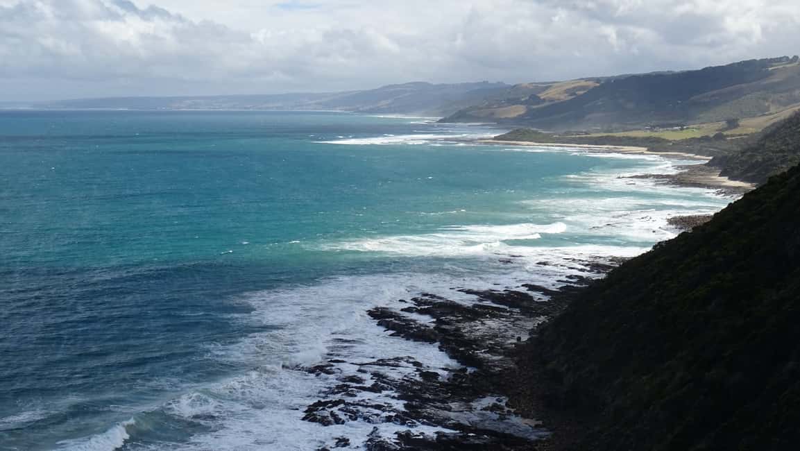 image n.9 of From Melbourne: Great Ocean Road, 12 Apostles, Wildlife Tour activity in Melbourne, uploaded by supplier