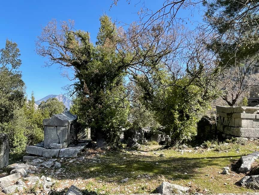 image n.73 of Antalya: Hiking in Termessos Ancient City activity in Antalya, uploaded by supplier