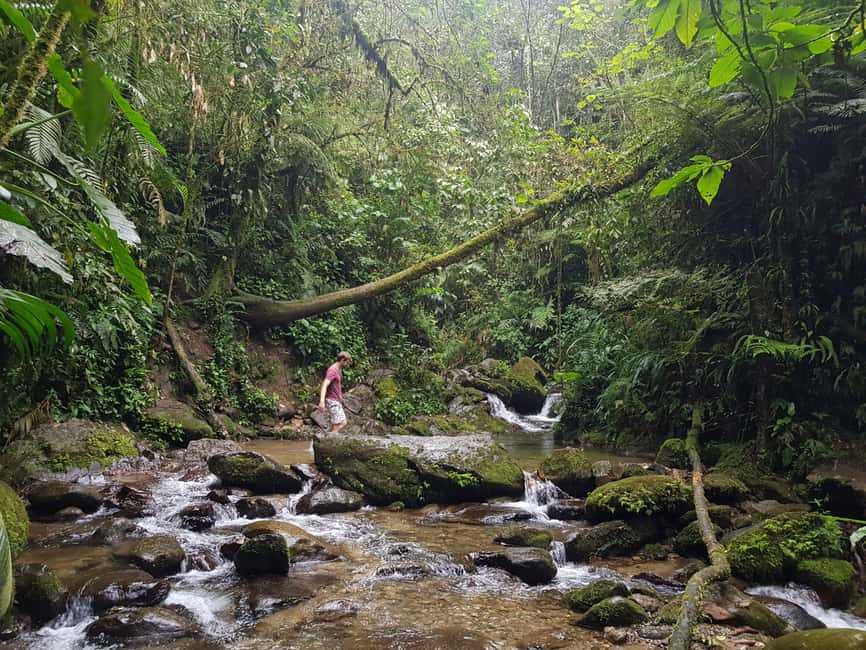 image n.16 of From Medellin Waterfalls: Guided Hiking Tour in Nature activity in Medellin, uploaded by supplier