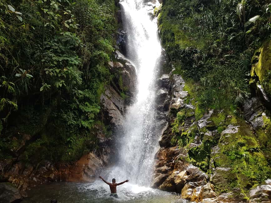 image n.15 of From Medellin Waterfalls: Guided Hiking Tour in Nature activity in Medellin, uploaded by supplier