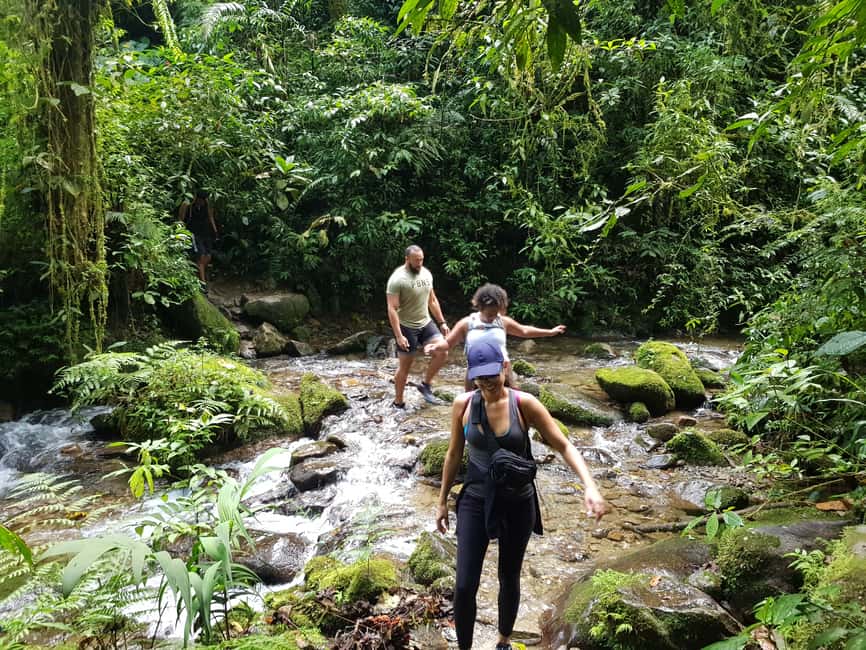 image n.22 of From Medellin Waterfalls: Guided Hiking Tour in Nature activity in Medellin, uploaded by supplier