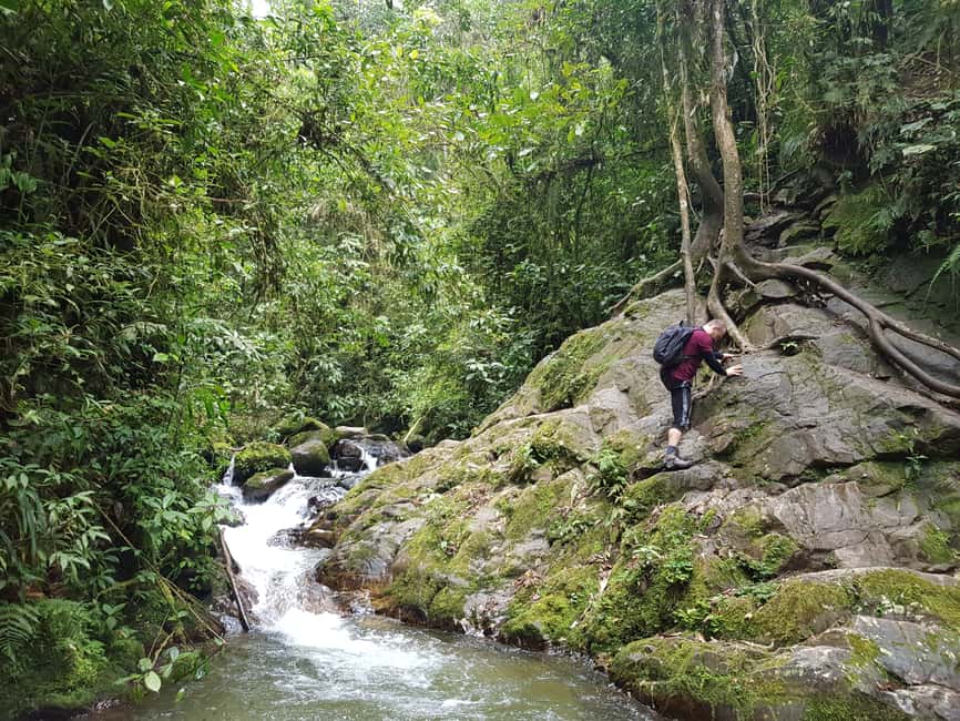 image n.18 of From Medellin Waterfalls: Guided Hiking Tour in Nature activity in Medellin, uploaded by supplier