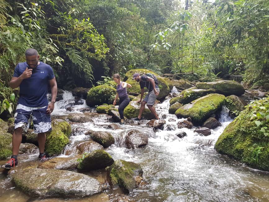 image n.23 of From Medellin Waterfalls: Guided Hiking Tour in Nature activity in Medellin, uploaded by supplier