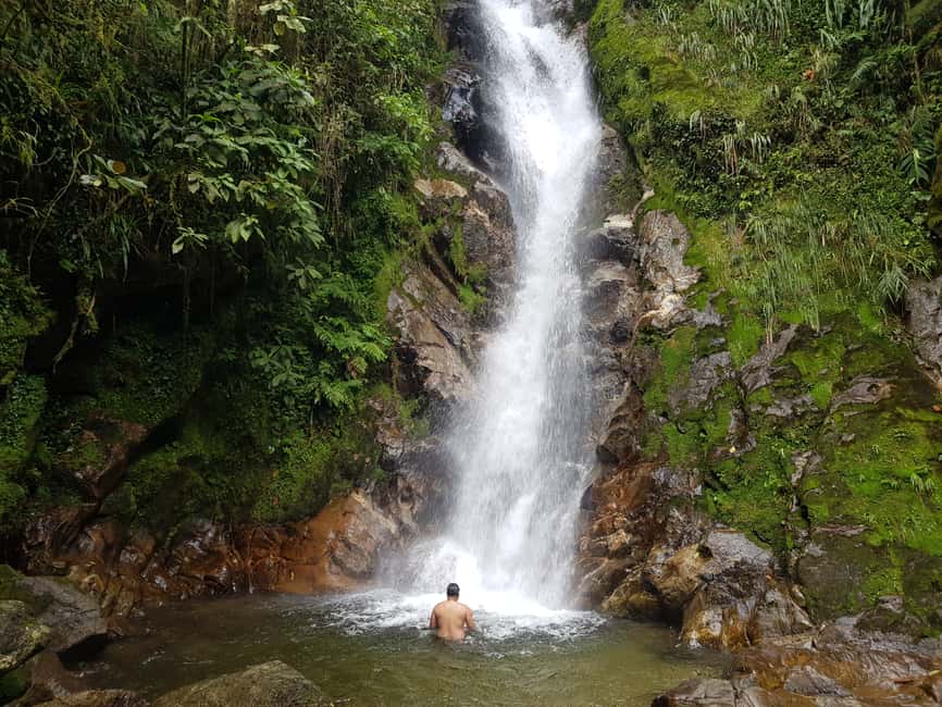 image n.14 of From Medellin Waterfalls: Guided Hiking Tour in Nature activity in Medellin, uploaded by supplier
