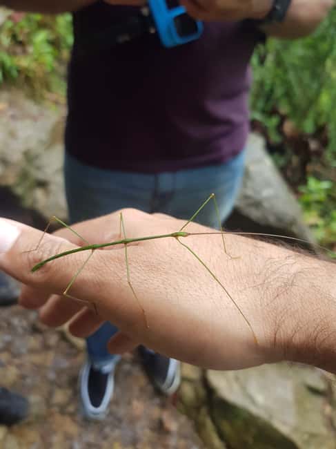 image n.24 of From Medellin Waterfalls: Guided Hiking Tour in Nature activity in Medellin, uploaded by supplier