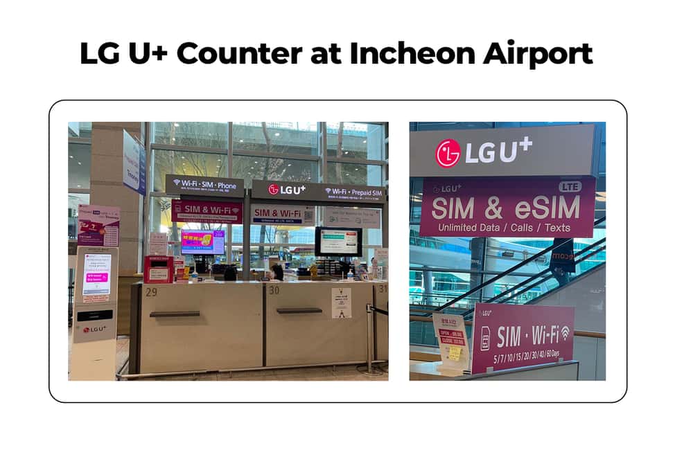 Image N°3 de Aéroport d'Incheon : Traveler SIM et carte de transport T-money activité à Séoul, publiée par le prestataire