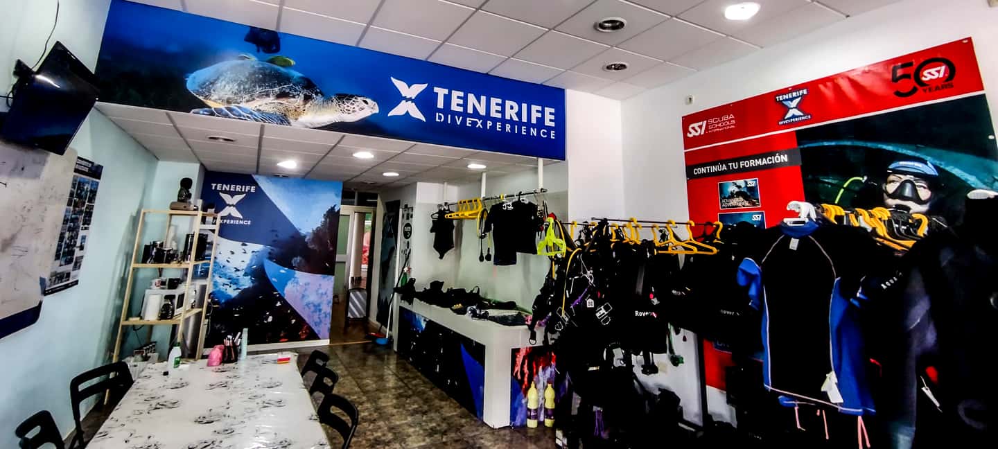 image n.4 of Tenerife: 2-Dive Private Scuba Discovery Course activity in Costa Adeje, uploaded by supplier