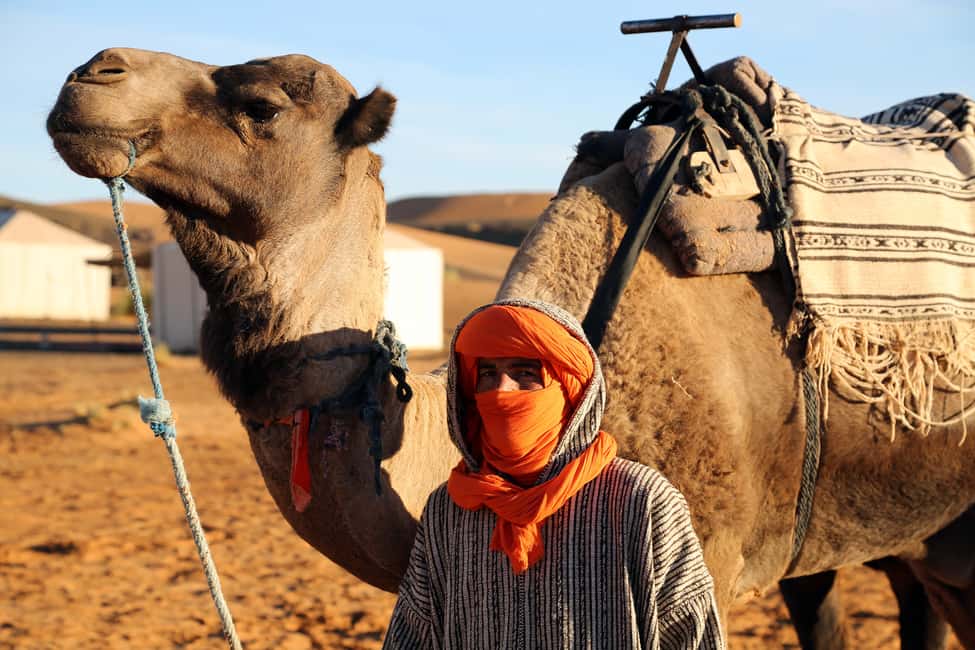 image n.14 of From Agadir: 4×4 Jeep Sahara Desert Tour with Lunch activity in Chtouka Aït Baha, uploaded by supplier