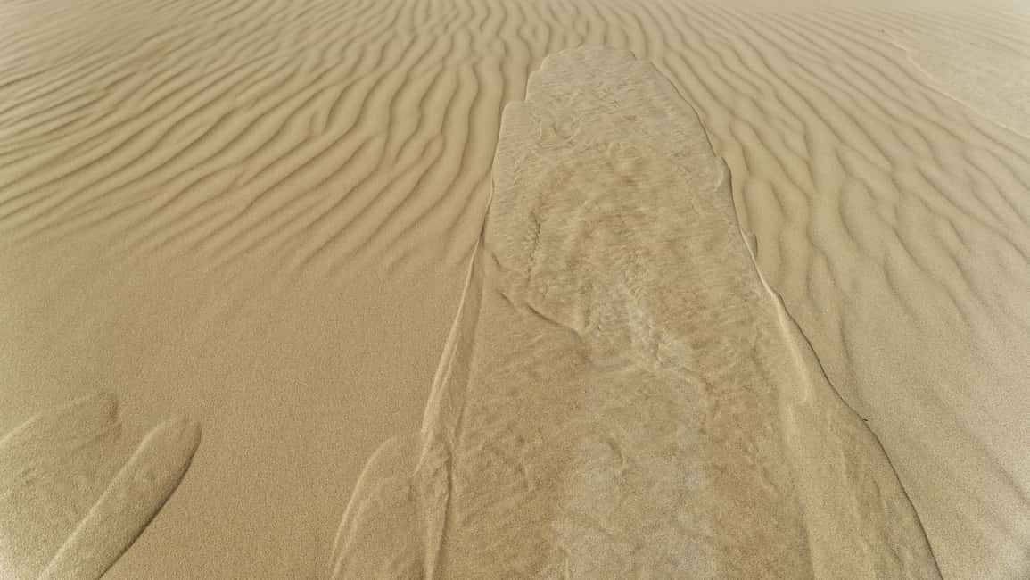 image n.12 of From Agadir: 4×4 Jeep Sahara Desert Tour with Lunch activity in Chtouka Aït Baha, uploaded by supplier