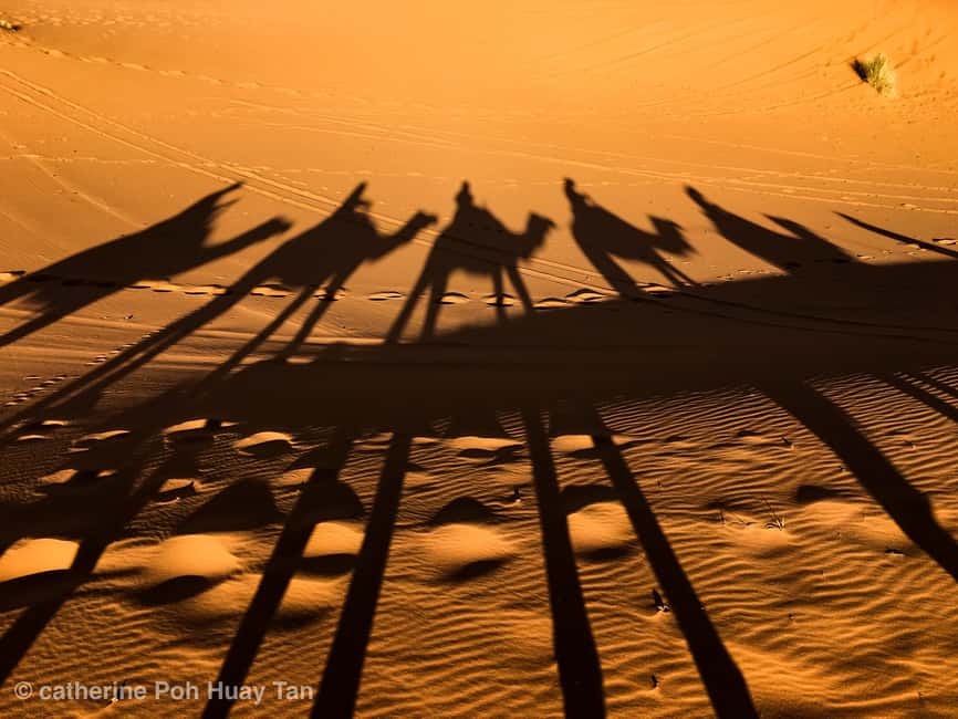 image n.4 of From Agadir: 4×4 Jeep Sahara Desert Tour with Lunch activity in Chtouka Aït Baha, uploaded by supplier