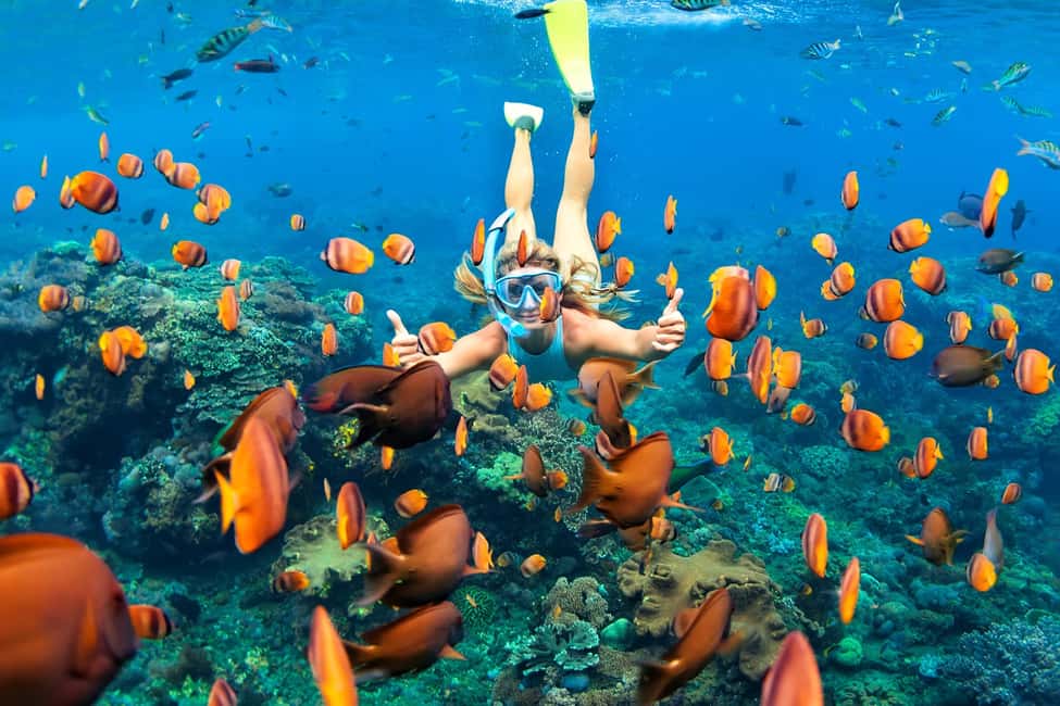 Image N°4 de Riviera Maya : Visite de Kaan Luum et des cénotes avec plongée en apnée sur le récif activité à Quintana Roo, publiée par le prestataire