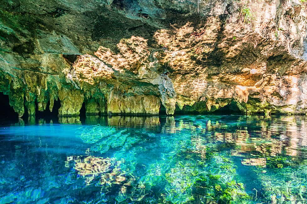 Image N°7 de Riviera Maya : Visite de Kaan Luum et des cénotes avec plongée en apnée sur le récif activité à Quintana Roo, publiée par le prestataire