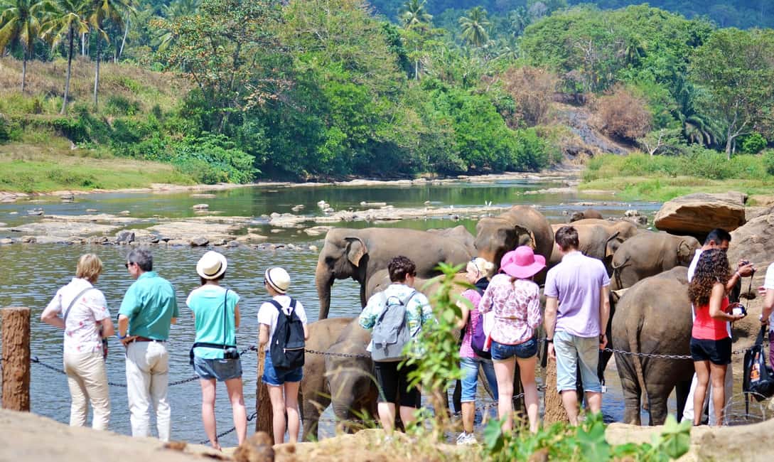 bild nr.8 av Sri Lanka: 7-dagars privat tur utanför den upptrampade stigen aktivitet i Kandy, uppladdad av arrangören