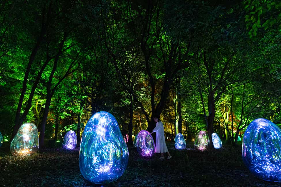 Image N°2 de Osaka : ticket d'entrée au jardin botanique teamLab activité à Osaka, publiée par le prestataire