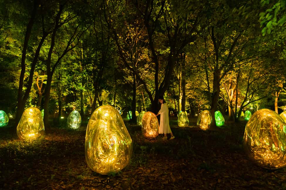 Image N°3 de Osaka : ticket d'entrée au jardin botanique teamLab activité à Osaka, publiée par le prestataire