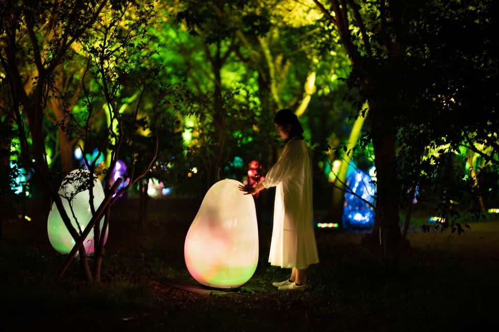 Image N°4 de Osaka : ticket d'entrée au jardin botanique teamLab activité à Osaka, publiée par le prestataire