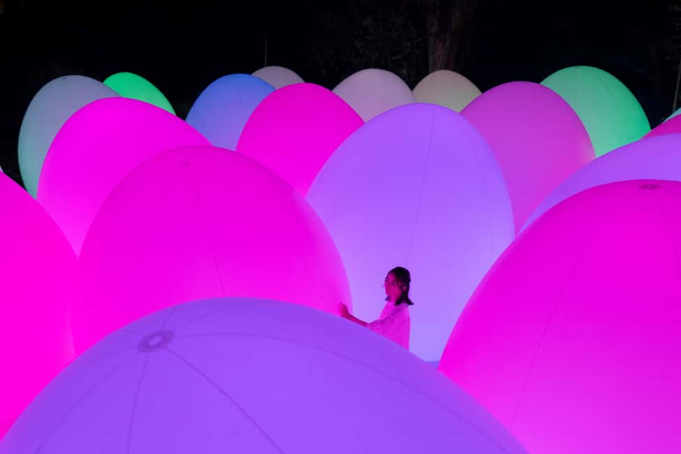 Image N°6 de Osaka : ticket d'entrée au jardin botanique teamLab activité à Osaka, publiée par le prestataire