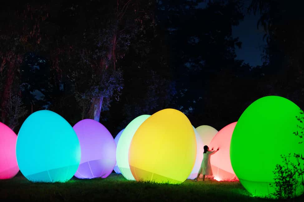 Image N°7 de Osaka : ticket d'entrée au jardin botanique teamLab activité à Osaka, publiée par le prestataire